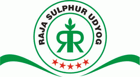 logo rsu